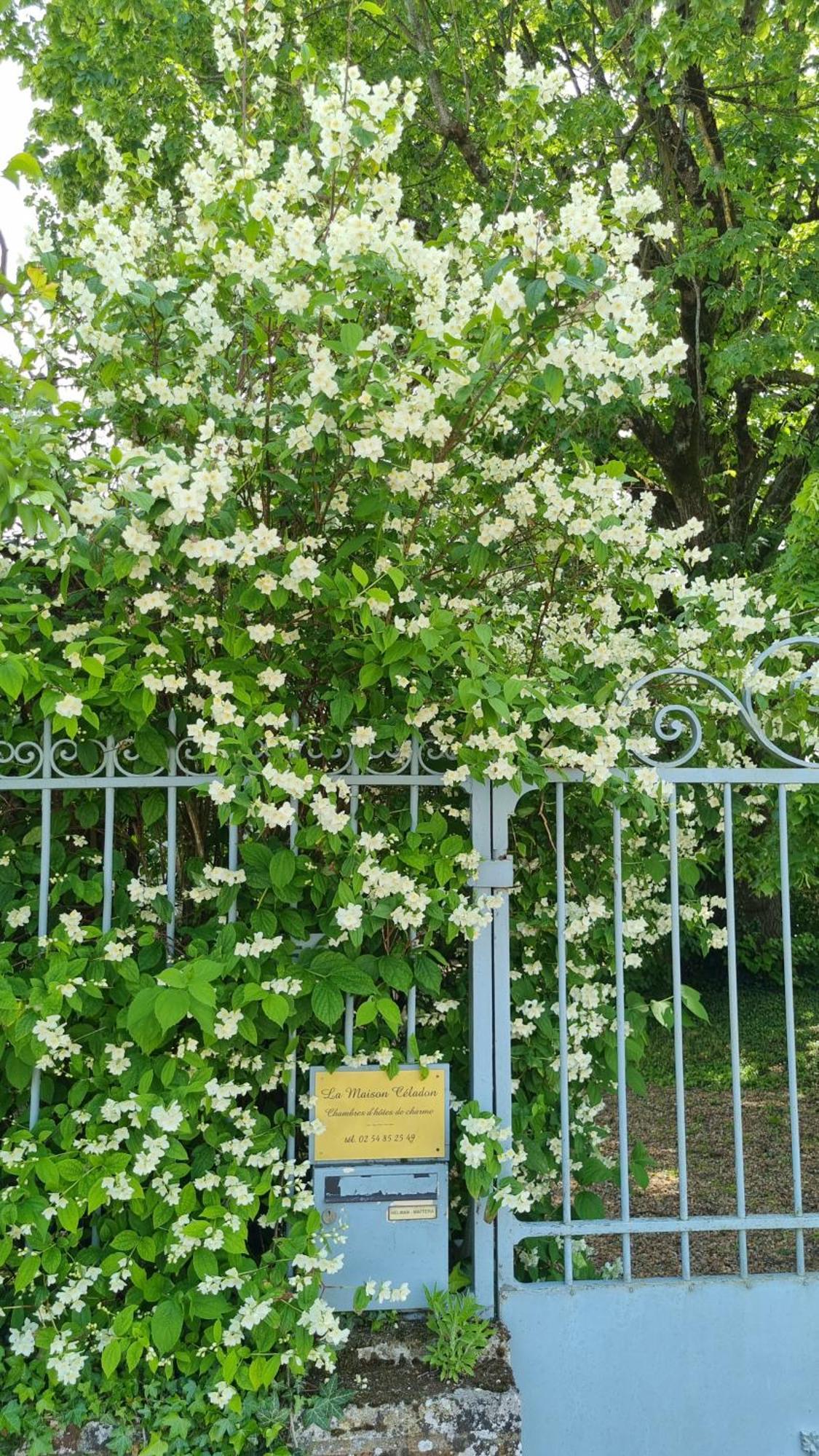 La Maison Celadon Prunay-Cassereau Exteriér fotografie